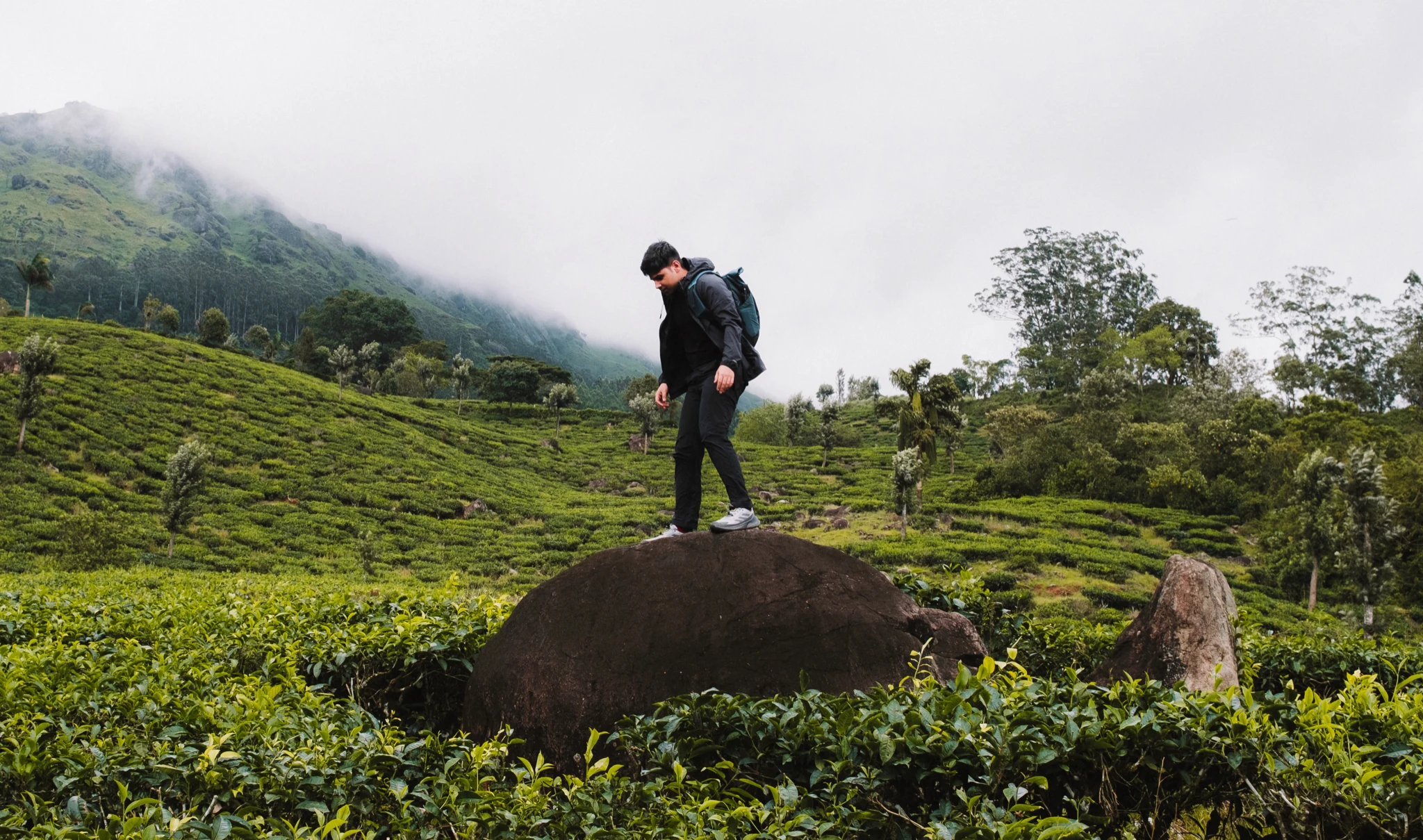 Trekking in the hills